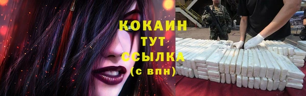 сатива Надым