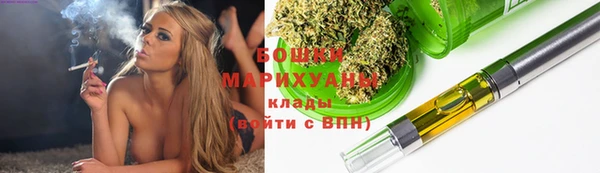 сатива Надым