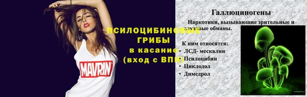 сатива Надым