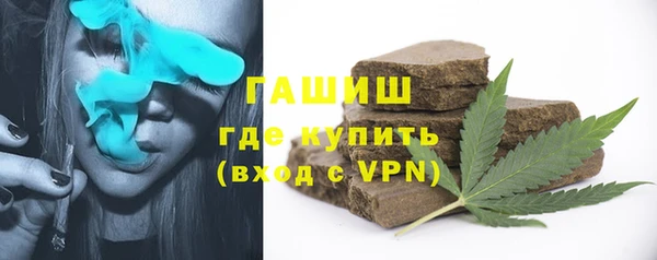 сатива Надым