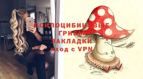 сатива Надым