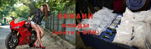 сатива Надым