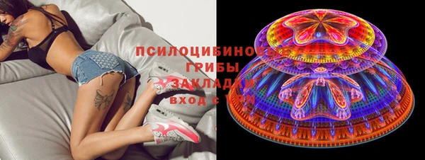 сатива Надым