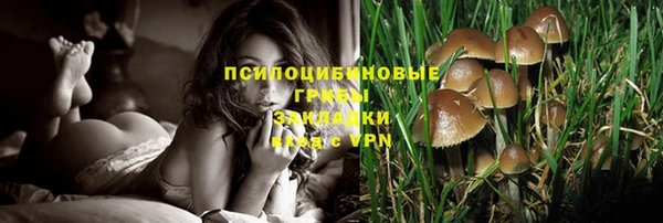 сатива Надым