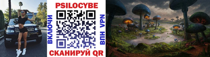 mega как войти  хочу   Томилино  Псилоцибиновые грибы Psilocybine cubensis 