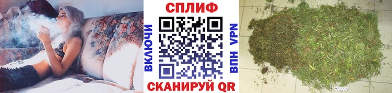 Канабис планчик  нарко площадка какой сайт  Томилино 